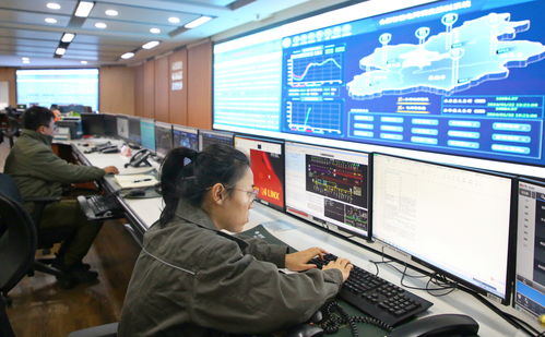 中央廣播電視總臺2024年春節聯歡晚會版權聲明